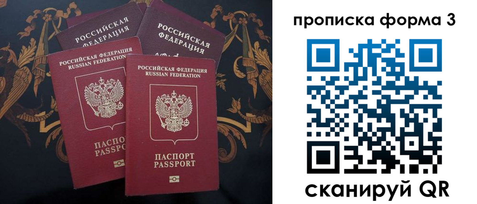 прописка законно в Вольске